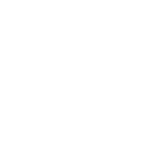 Chicken Police